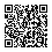 QR code linking to https://deploy-preview-3364--gohugoio.netlify.app/troubleshooting/audit/